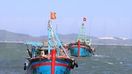 Ninh Thuan works to enhance offshore fishing capacity