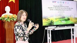 An Giang receives help to transform rice value chains for better climate resilience