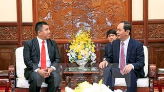 President welcomes new foreign ambassadors to Vietnam