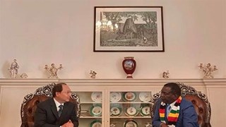 Zimbabwe, Vietnam should build on traditional ties: President