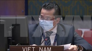 Vietnam shares concerns over persistent insecurity in Congo