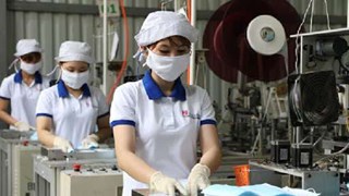 Vinh Long works to support business in local IPs amid COVID-19