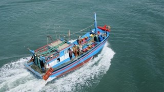 Ben Tre cracks down on fishing vessels violating foreign waters