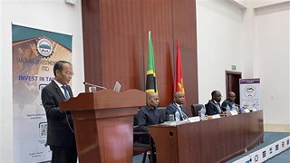 Tanzania capable of meeting Vietnam's needs in many fields: diplomat