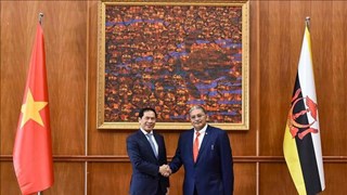 Vietnam, Brunei FMs co-chair second Joint Commission for Bilateral Cooperation meeting