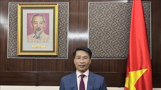 Hong Kong firms seek more cooperation opportunities in Vietnam