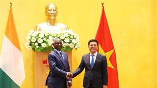 Vietnam places Côte d’Ivoire among top trade partner in Africa: minister