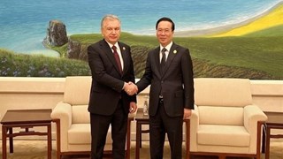 Vietnam values traditional friendship with Uzbekistan: President