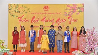 Overseas Vietnamese in India, Czech Republic indulge in Lunar New Year activities