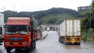 Lao Cai ensures smooth cross-border trade during Tet 