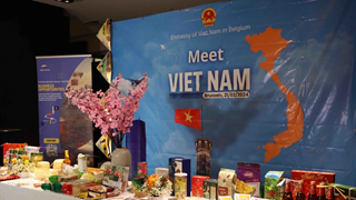 Measures sought to promote Vietnam-Belgium cooperation