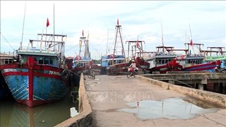 Thanh Hoa cracks down on illegal fishing vessels to curb IUU fishing