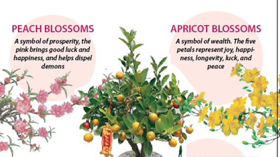 Signature ornamental trees, flowers for traditional Lunar New Year