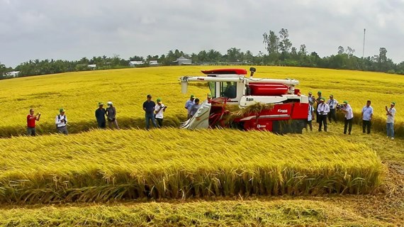Brand building for Vietnamese agricultural products needed to boost exports