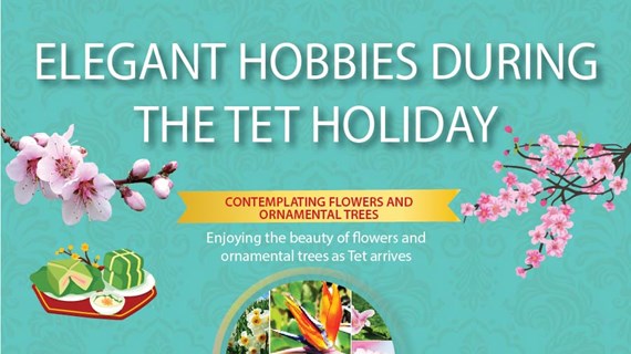 Elegant hobbies during the Tet holiday