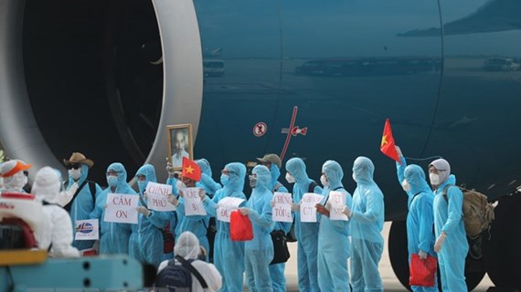 219 Vietnamese citizens brought home from Equatorial Guinea