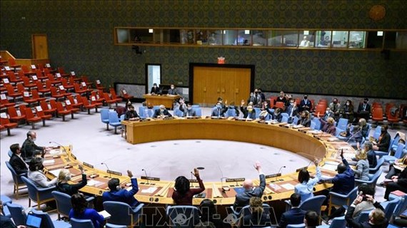 Vietnam calls for full observance of int’l humanitarian law in Ethiopia