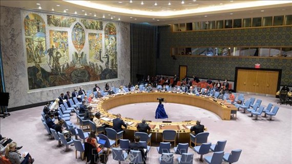 Political process in Somalia should assure legitimate aspirations, concerns of stakeholders: Vietnam