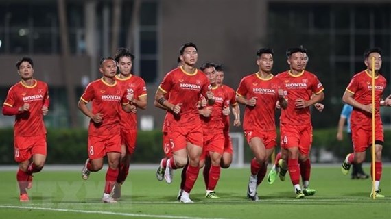 Vietnam hope to gain points in match with Australia: head coach