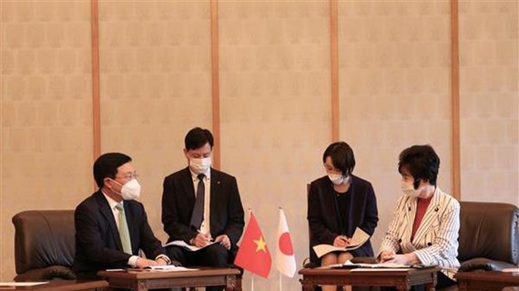 Deputy PM calls for more Japanese investment in Vietnam