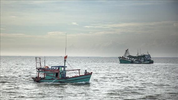 Vietnam ready to cooperate and share experience in combating illegal fishing