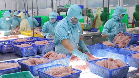 Export value of aquatic products up 38% in nine months