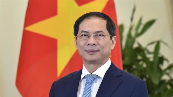 Vietnam ready to contribute more to UN peacekeeping operations: minister