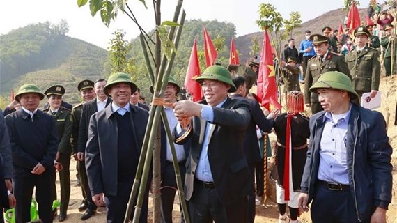 NA leader launches emulation drive, tree planting festival in Tuyen Quang