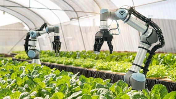 Science, technology, innovation to contribute over 50% to agricultural growth by 2030