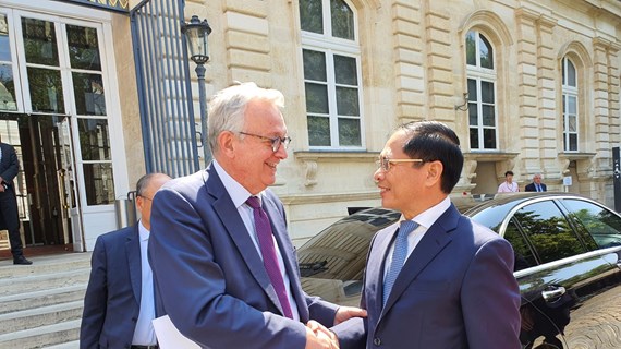 Vietnam attaches importance to comprehensive relations with France: FM