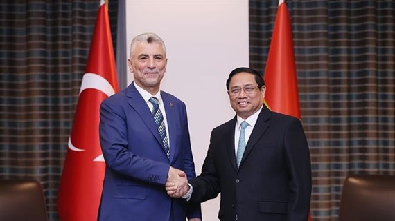 Türkiye considers Vietnam top priority economic partner in Asia-Pacific: Minister