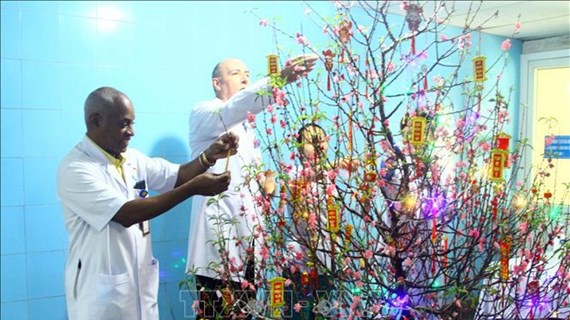 Foreign medical experts, students share joy of Tet in Vietnam