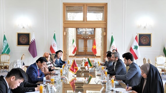 Vietnam, Iran hold political consultation at deputy foreign ministerial level