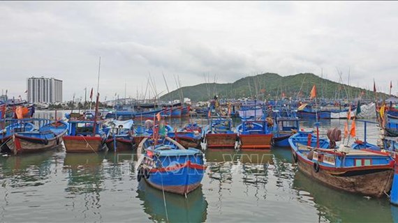 Khanh Hoa ramps up vessel control in anti-IUU fishing efforts