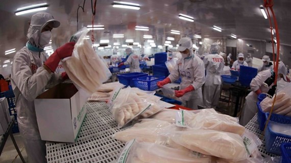 Tra fish export to UAE jumps 67% in Q1