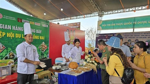 Kon Tum culinary contest honours 120 dishes from local ginseng