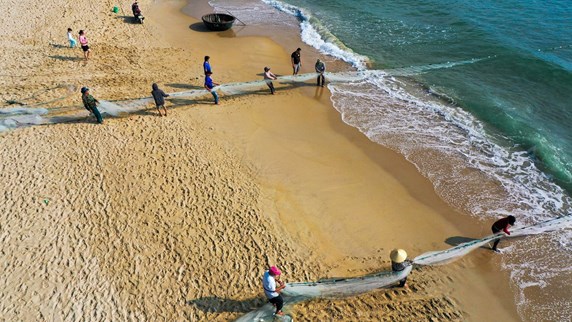 Fishermen pull in nets in Da Nang city