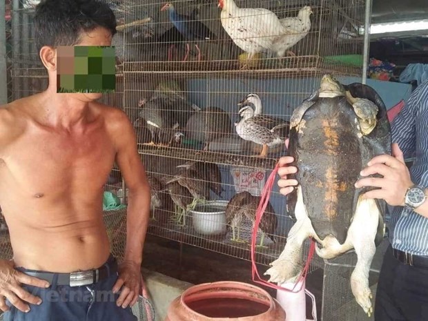 WWF calls for permanent shutdown of wildlife markets over COVID-19 concerns hinh anh 2