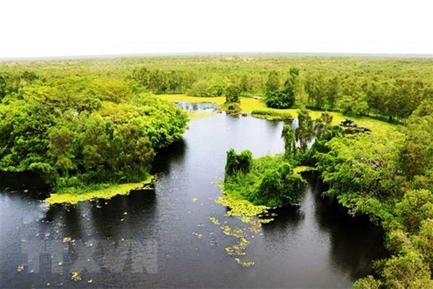 Vietnam strives to protect wetlands – “cradle” of biodiversity hinh anh 2