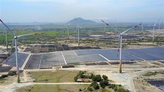 Ninh Thuan working to establish itself as national renewable energy centre hinh anh 2
