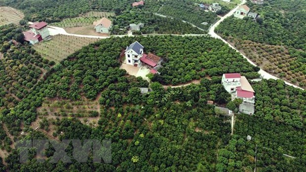 Bac Giang province moves to sustainably develop tourism hinh anh 2