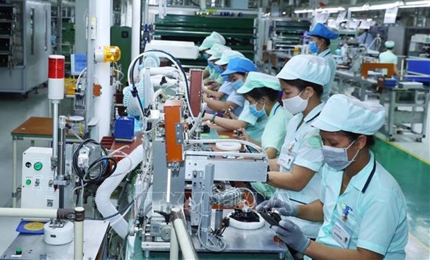Young overseas Vietnamese prove crucial to homeland’s innovation hinh anh 1