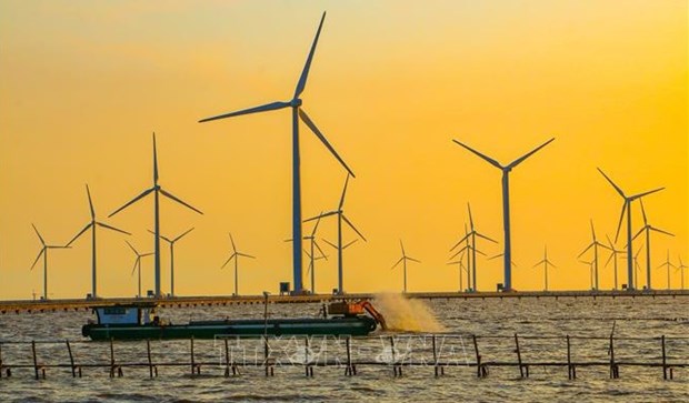 Friendlier legal framework needed for offshore wind power development hinh anh 1