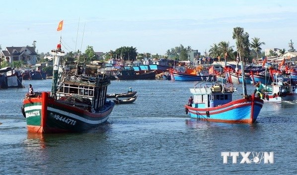 Infrastructure needs upgrading to develop modern fisheries sector hinh anh 1