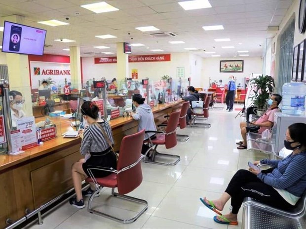 Banks still perform well amid pandemic-caused difficulties hinh anh 1
