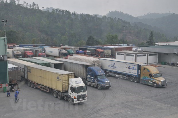 Official suggests solutions to goods congestion at border gates hinh anh 1