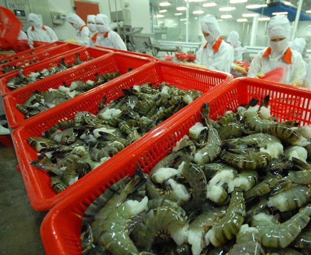 Shrimp industry optimises advantages for development hinh anh 2