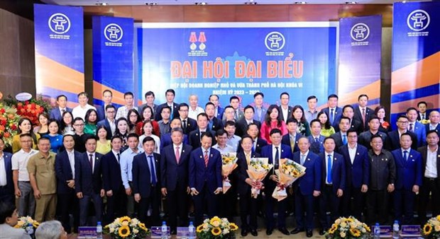 Hanoi association hailed for helping with development of local SMEs hinh anh 1