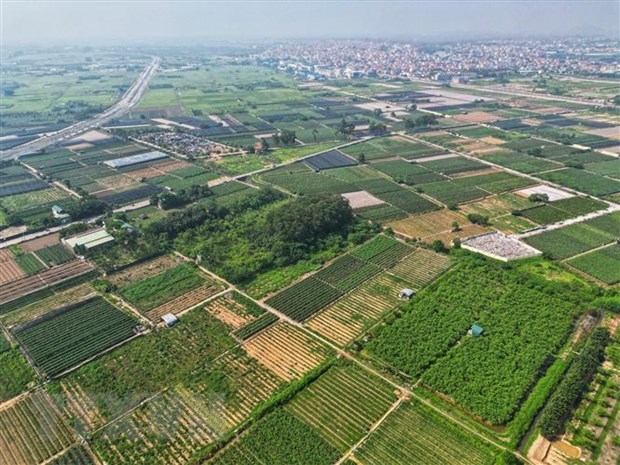 Hanoi to advance efforts in new-style countryside building hinh anh 2
