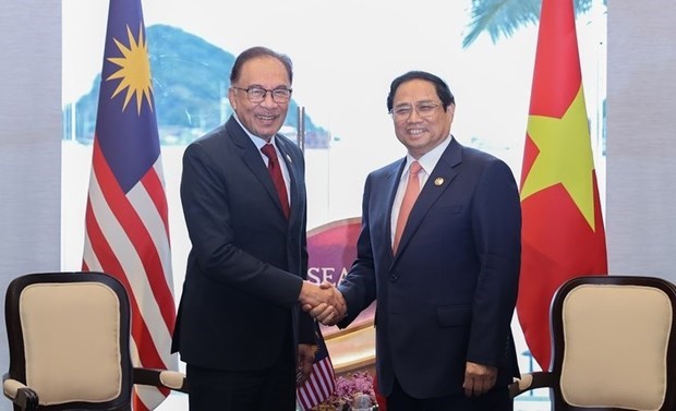 Potential remains for Vietnam-Malaysia cooperation: Malaysian Ambassador hinh anh 1